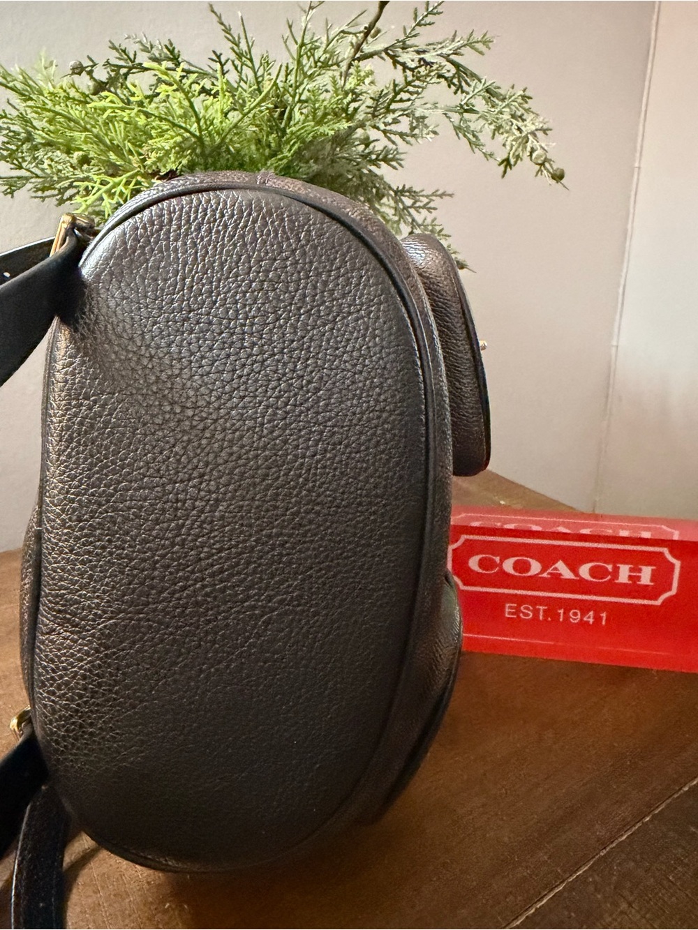 Coach Mini Hadley Backpack - Picture 4 of 14